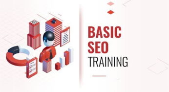 SEO Basics Training Coaching Program
