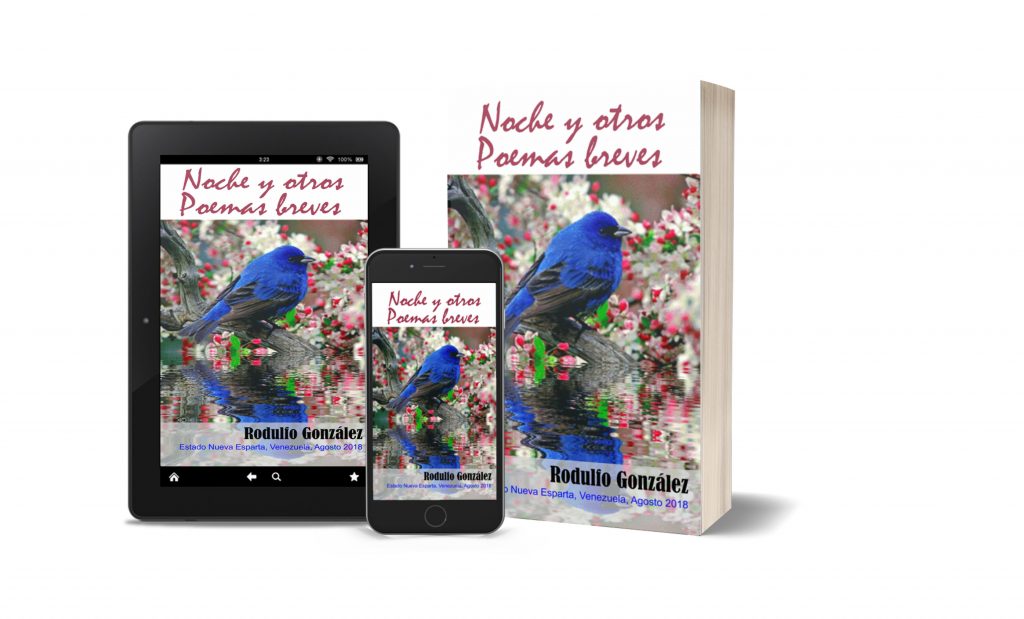 Noche y otros Poemas Breves de Rodulfo Gonzalez