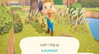 Animal Crossing Nintendo Direct: Primera expansión de contenido