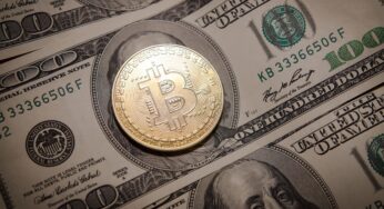 The culture of Bitcoin