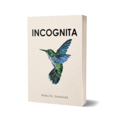 Incógnita