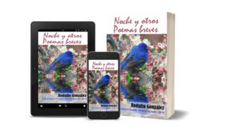 Noche y otros Poemas Breves
