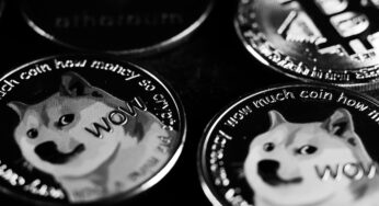 DOGECOIN USD (DOGEUSD) 1W Trading Analisys (TA)