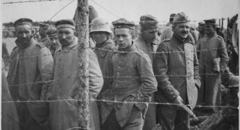 The War in Ukraine and the Manual for Gorillas