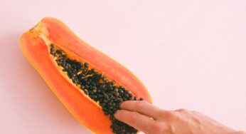 Food and erotism