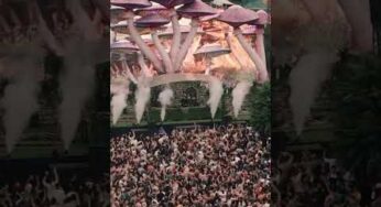 Incredible moments at Tomorrowland Brasil