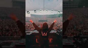 A moment to cherish forever. Alan Walker premiered his Tomorrowland-made track ‘Heartbreak Melody’