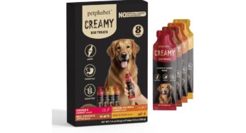 The Secret to a Happy, Focused Dog: Why These Lickable Squeeze Treats Are a Game-Changer