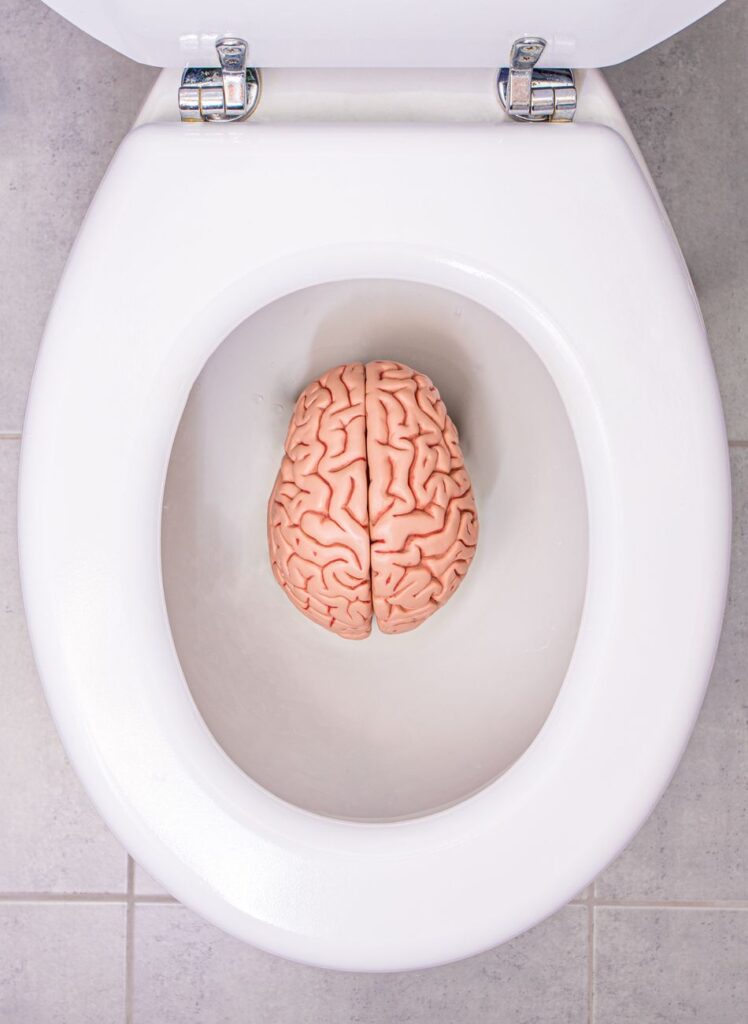 top view of a brain lying in a toilet