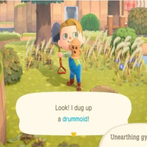 Animal Crossing Nintendo Direct: Primera expansión de contenido por Ubuntu Cafe